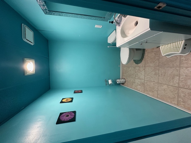 CKs bathroom 1 before